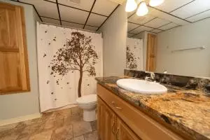 1602 Cody Ct, Harrison, AR 72601 photo 31