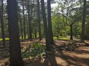 6147 S Terrapin Rd, Harrison, AR 72601 photo 9