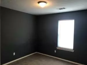 1006 Lilly St, Harrison, AR 72601 photo 10