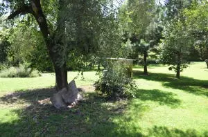 8041 Oregon Flat Rd, Bergman, AR 72615 photo 10