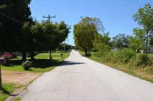 8041 Oregon Flat Rd, Bergman, AR 72615 photo 3