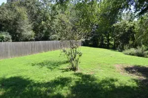 8041 Oregon Flat Rd, Bergman, AR 72615 photo 9