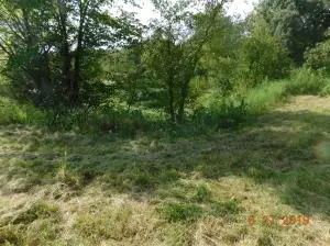 34 Beavers Ln, Harrison, AR 72601 photo 5