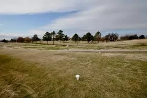 305 St Andrews Dr, Harrison, AR 72601 photo 39