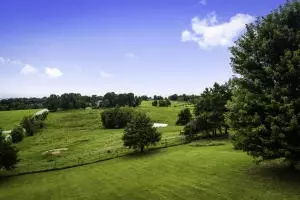 208 Ruble Rd, Harrison, AR 72601 photo 31