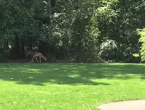 2506 Thickery, Harrison, AR 72601 photo 35