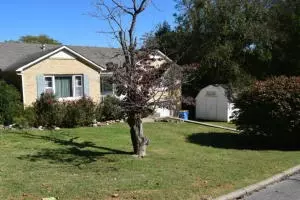 717 W Nicholson Ave, Harrison, AR 72601 photo 6