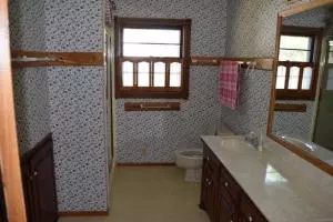 717 W Nicholson Ave, Harrison, AR 72601 photo 17