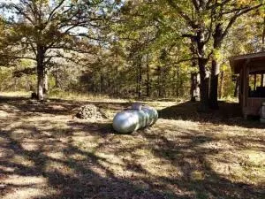 107 Thunder Ln, Marshall, AR 72650 photo 7