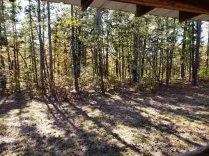 107 Thunder Ln, Marshall, AR 72650 photo 12