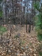 10755 Big Piney Dr, Omaha, AR 72662 photo 36