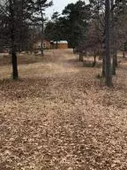 10755 Big Piney Dr, Omaha, AR 72662 photo 33