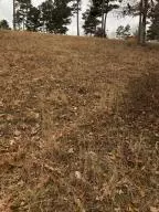 10755 Big Piney Dr, Omaha, AR 72662 photo 32