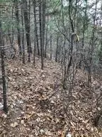 10755 Big Piney Dr, Omaha, AR 72662 photo 38