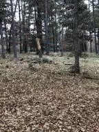 10755 Big Piney Dr, Omaha, AR 72662 photo 29