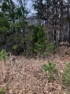 10755 Big Piney Dr, Omaha, AR 72662 photo 35
