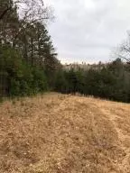10755 Big Piney Dr, Omaha, AR 72662 photo 37