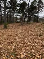 10755 Big Piney Dr, Omaha, AR 72662 photo 48