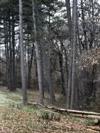 10755 Big Piney Dr, Omaha, AR 72662 photo 30