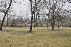 807 Parkview Dr, Harrison, AR 72601 photo 13