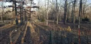 8570 Black Jack Ln, Harrison, AR 72601 photo 25
