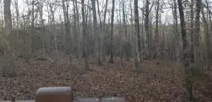 8570 Black Jack Ln, Harrison, AR 72601 photo 21