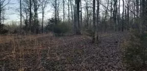 8570 Black Jack Ln, Harrison, AR 72601 photo 22
