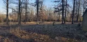 8570 Black Jack Ln, Harrison, AR 72601 photo 18
