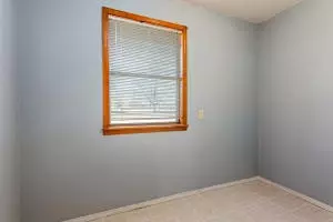 101 Cheryl Ln, Harrison, AR 72601 photo 11