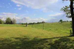 1943 Bolin Hill Rd, Harrison, AR 72601 photo 57