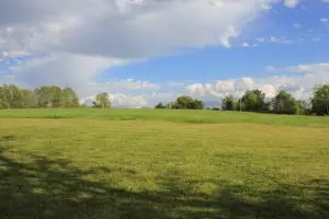 1943 Bolin Hill Rd, Harrison, AR 72601 photo 58