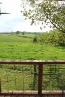 1943 Bolin Hill Rd, Harrison, AR 72601 photo 51