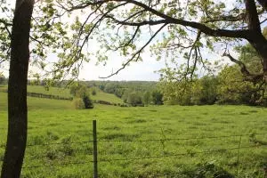 1943 Bolin Hill Rd, Harrison, AR 72601 photo 59