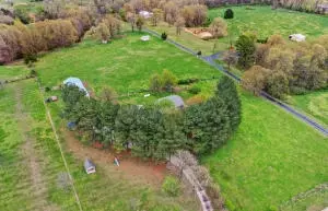 6390 Wade Rd, Harrison, AR 72601 photo 39