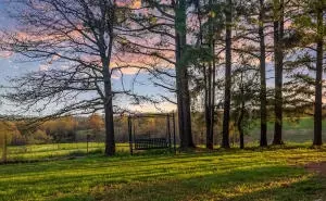 6390 Wade Rd, Harrison, AR 72601 photo 24