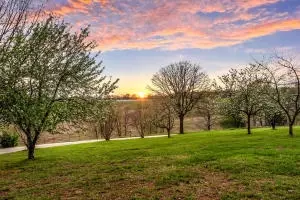 6390 Wade Rd, Harrison, AR 72601 photo 29