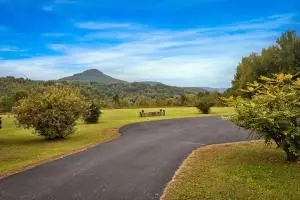 202 Cedar Ln, Jasper, AR 72641 photo 4