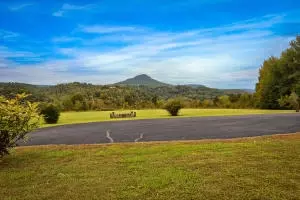 202 Cedar Ln, Jasper, AR 72641 photo 3