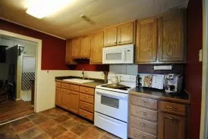 81 Old School St, Yellville, AR 72687 photo 5