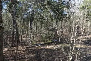 2831 Bear Bottom Dr, Lead Hill, AR 72644 photo 184