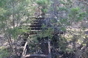 2831 Bear Bottom Dr, Lead Hill, AR 72644 photo 76