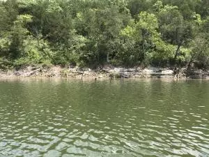 2831 Bear Bottom Dr, Lead Hill, AR 72644 photo 2