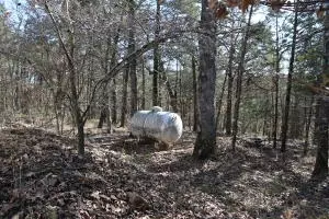 2831 Bear Bottom Dr, Lead Hill, AR 72644 photo 185