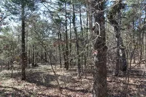 2831 Bear Bottom Dr, Lead Hill, AR 72644 photo 183