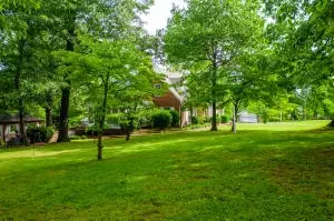 1003 W Central Ave, Harrison, AR 72601 photo 9