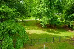 1003 W Central Ave, Harrison, AR 72601 photo 32