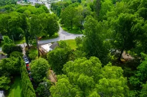 1003 W Central Ave, Harrison, AR 72601 photo 8