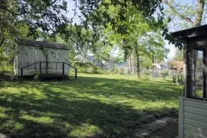 709 S 3rd St, Branson, MO 65616 photo 21