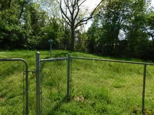 104 Mountain St, Jasper, AR 72641 photo 11