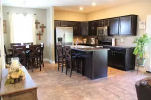 200 Thunder Ridge Estates Dr, Branson, MO 65616 photo 8